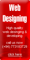 Web Designing